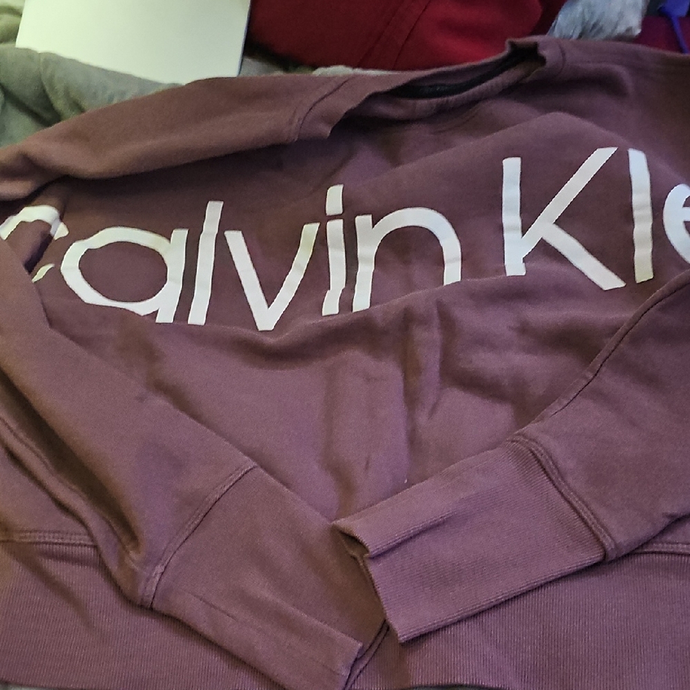 Calvin Klein Plum Logo Sweatshirt